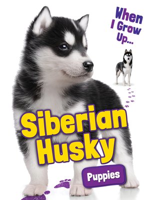 cover image of Siberian Husky Puppies